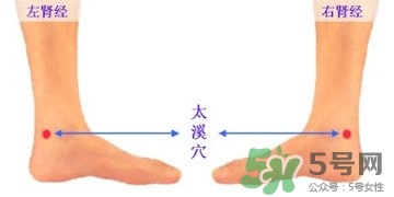 三伏灸可以治腰腿痛嗎？三伏灸治腰腿痛灸哪里》