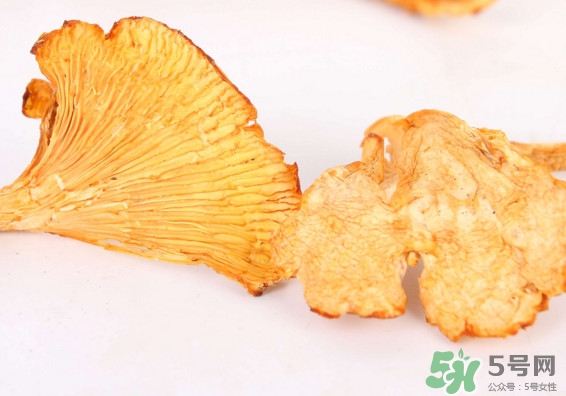 雞油菌多少錢一斤？雞油菌和雞樅菌有什么區(qū)別