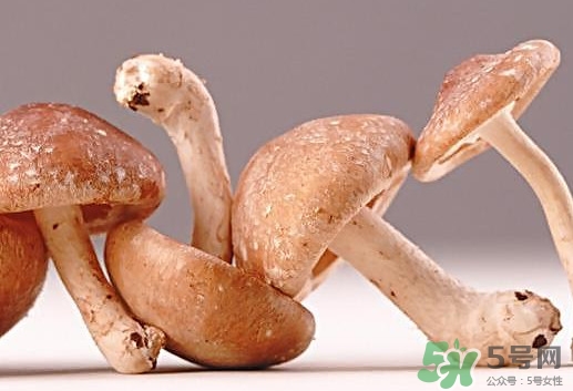 什么病不能吃香菇？香菇不能和什么一起吃