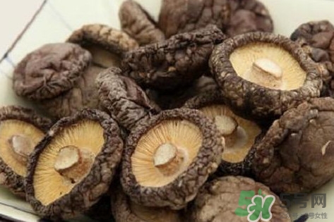 香菇是蘑菇嗎？香菇和蘑菇有什么區(qū)別