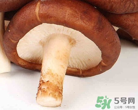 香菇是蘑菇嗎？香菇和蘑菇有什么區(qū)別