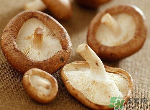 買香菇怎么挑選？干香菇怎么挑選？