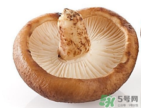 什么病不能吃香菇？香菇不能和什么一起吃