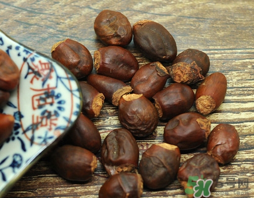 龍眼核能種嗎？龍眼核怎么種盆栽