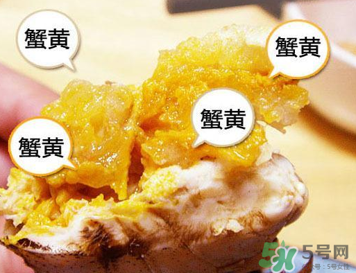 六月黃大閘蟹好吃嗎？六月黃和大閘蟹有什么區(qū)別？