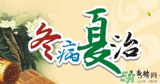 三伏灸要灸幾次？三伏灸要灸多久？