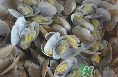 花蛤蜊什么時候最肥？花蛤蜊怎么挑選