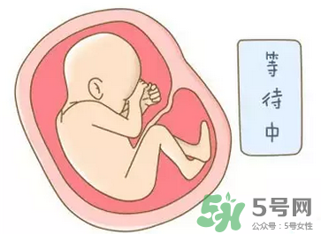 胎位不正能順產(chǎn)嗎？胎位不正怎么辦？