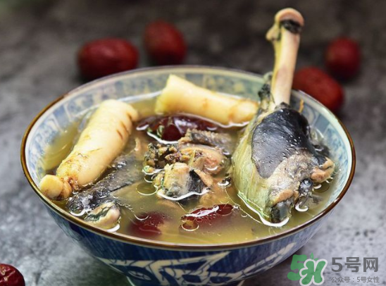 三伏天可以吃人參嗎？三伏天吃人參好嗎？