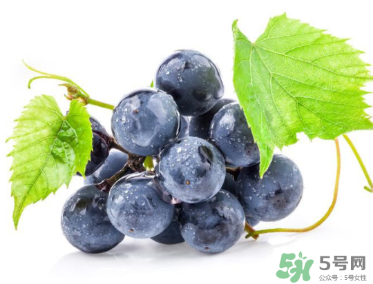 夏黑葡萄為什么掉色？夏黑葡萄怎么會(huì)染色？