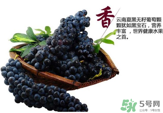 夏黑葡萄怎么保存？夏黑葡萄可以放冰箱嗎？