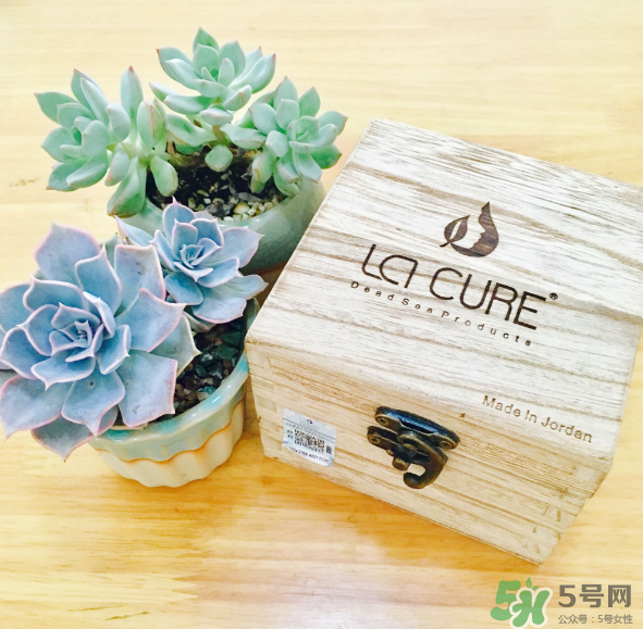 天然死海礦物泥面膜怎么樣？天然死海礦物泥面膜好用嗎？