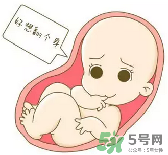 胎位不正能順產(chǎn)嗎？胎位不正怎么辦？
