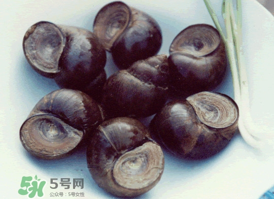 田螺是發(fā)物嗎？田螺是海鮮嗎