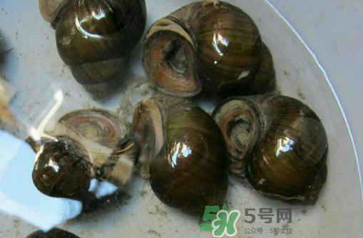 田螺里面都可以吃嗎？田螺不能和什么同食