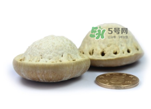 風(fēng)流果泡酒要不要敲碎？壯陽果泡水要不要敲碎？