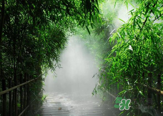 2017大暑會不會下雨？2017大暑下雨好嗎？