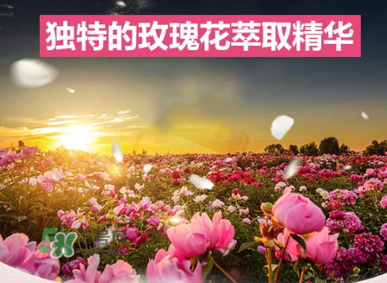 資生堂玫瑰園沐浴露怎么樣？資生堂玫瑰園沐浴露多少錢