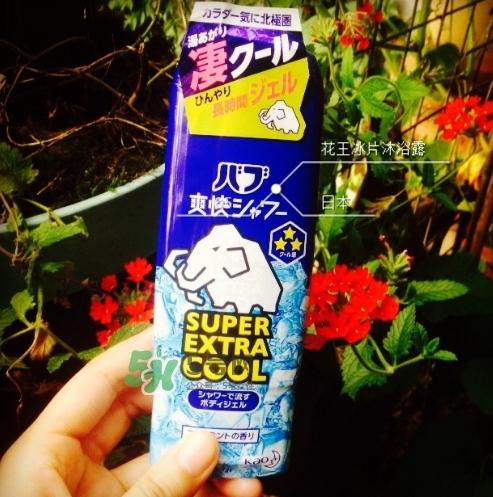 花王kao冰片沐浴露怎么樣？花王冰片沐浴露哪款好？