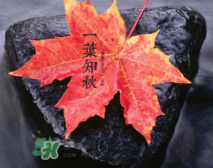 立秋后就是秋天了嗎？立秋后就涼快了嗎？