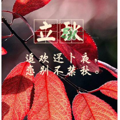 立秋后就是秋天了嗎？立秋后就涼快了嗎？