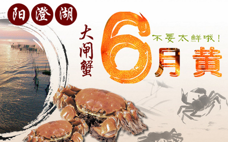 六月黃大閘蟹好吃嗎？六月黃和大閘蟹有什么區(qū)別？