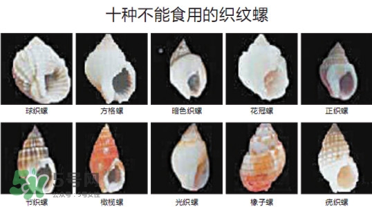 哪些人不能吃田螺？哪些田螺不能吃