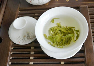 碧螺春是涼性的嗎？碧螺春是溫性還是涼性