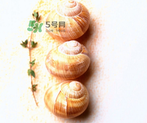 田螺是寒性的嗎？田螺煮多久殺死寄生蟲