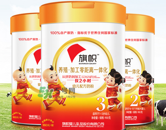 旗幟奶粉怎么樣？旗幟奶粉好不好？