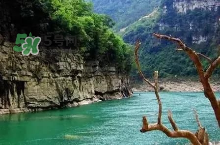 漂流需要準備什么東西？漂流哪里最好玩？