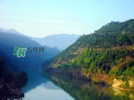 漂流需要準備什么東西？漂流哪里最好玩？