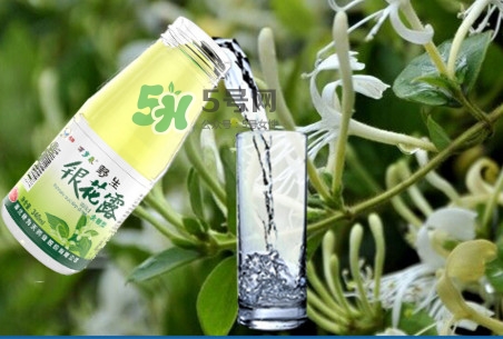 金銀花露可以冷藏嗎？金銀花露能放冰箱嗎？