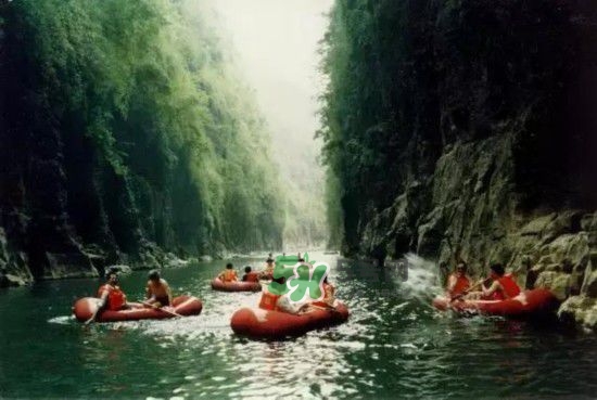 漂流需要準備什么東西？漂流哪里最好玩？