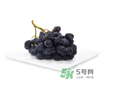 黑提有籽嗎？黑提是什么季節(jié)的水果