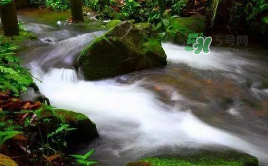 漂流需要準備什么東西？漂流哪里最好玩？
