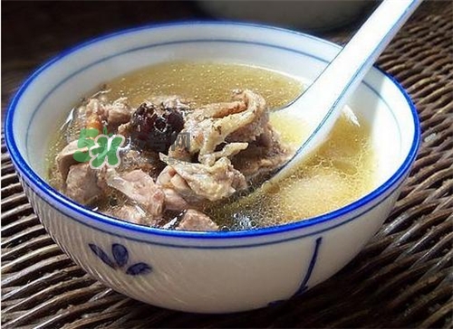 三伏天能吃鴿子嗎？三伏天能喝鴿子湯嗎？