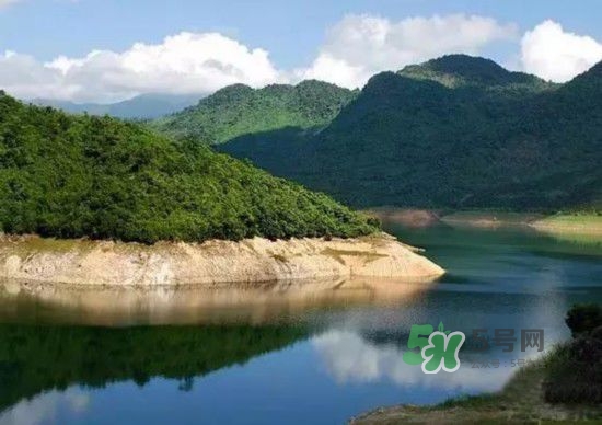 漂流需要準備什么東西？漂流哪里最好玩？