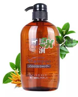 熊野馬油洗發(fā)水起頭屑嗎？KUMANO洗發(fā)水用完長頭屑嗎？