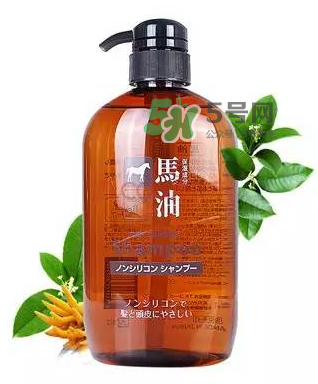 熊野馬油洗發(fā)水起頭屑嗎？KUMANO洗發(fā)水用完長頭屑嗎？