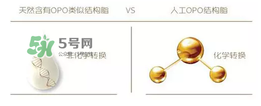 奶粉里面的OPO是什么？opo是天然的還是后期添加的？