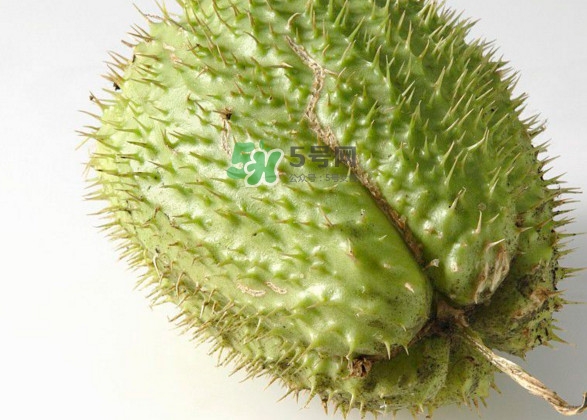 刺果番荔枝多少錢一斤？刺果番荔枝哪里有賣？