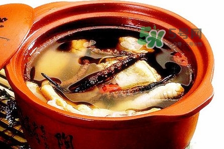 三伏天可以補腎嗎？三伏天可以進補嗎？