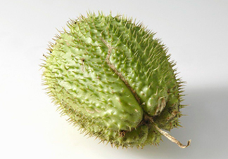 刺果番荔枝多少錢一斤？刺果番荔枝哪里有賣？