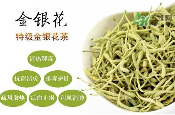 金銀花茶是去火的嗎？金銀花茶有什么功效與作用