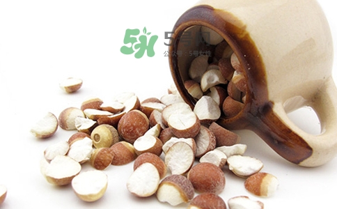 三伏天可以補腎嗎？三伏天可以進補嗎？