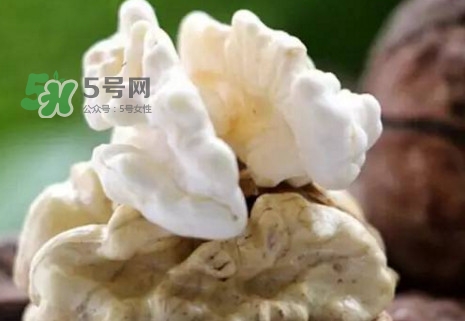青皮核桃?guī)捉锍鲆唤锔珊颂?？青皮核桃什么時(shí)候成熟