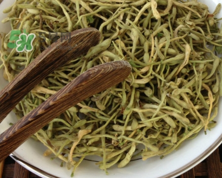 金銀花茶苦嗎？喝金銀花茶需要注意什么