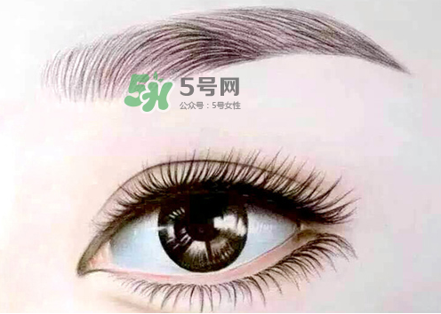 三伏天能紋眉嗎？三伏天紋眉毛好嗎？