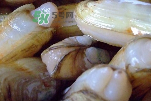 蟶子怎么抓？孕婦能吃蟶子嗎